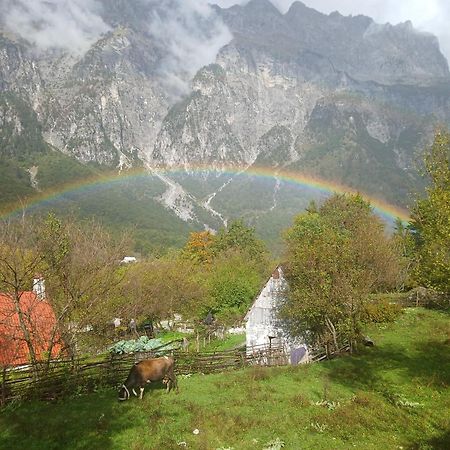 Bujtina Milani Bed & Breakfast Shkoder Exterior photo