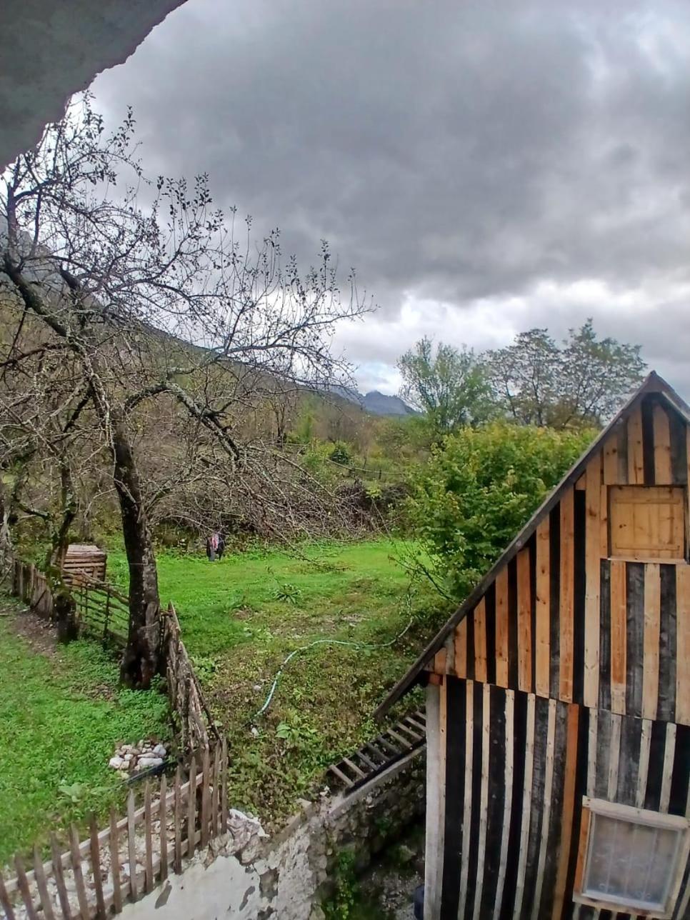Bujtina Milani Bed & Breakfast Shkoder Exterior photo