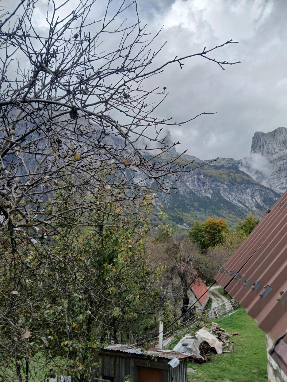 Bujtina Milani Bed & Breakfast Shkoder Exterior photo